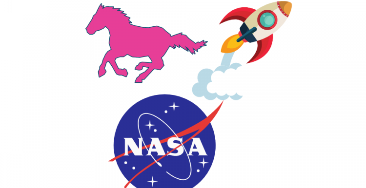 Nasa and Horse Nasa and Horse